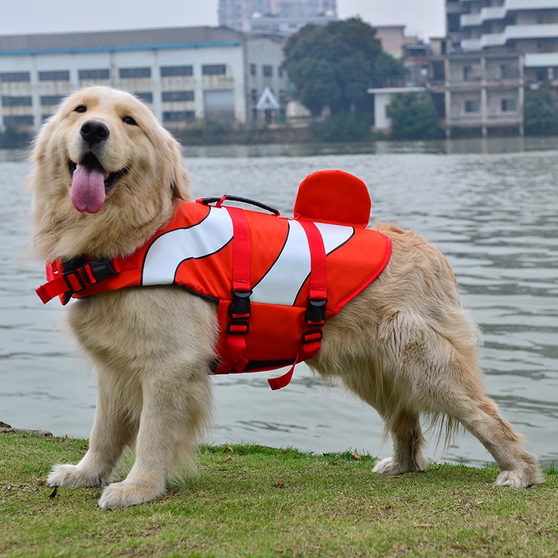 Dog Swimwear and Life Jacket Rescue Kits