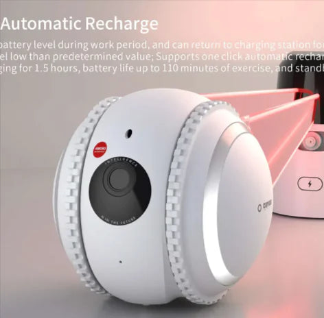 PetPal Interactive Robot