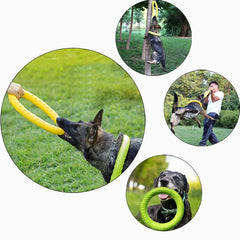 Dog Training Ring Toy