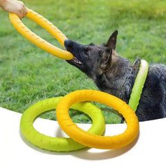 Dog Training Ring Toy