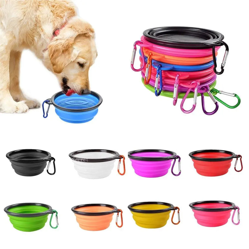 Collapsible Dog Feeder