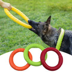 Dog Training Ring Toy