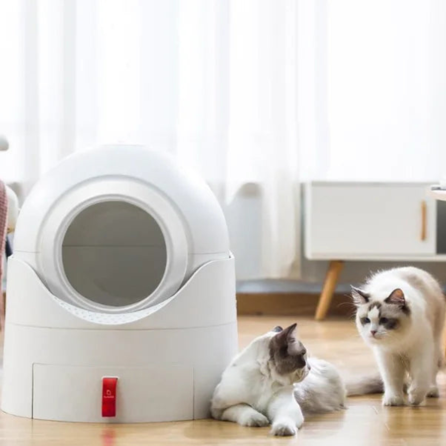 Enclosed Cat Litter Box with Drawer