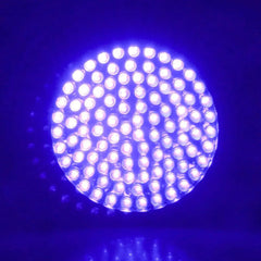 Ultraviolet Flashlight